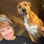Kim Daniel Longley - @kimandlexie_adventures - Instagram