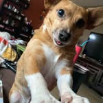 Kim Henegar Loomis - @loomiskim - Instagram