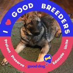 Kim Lorance - @moonglowshepherds - Instagram