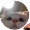Kim - @kimloreen_ - TikTok