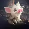 kim - @kimloreenl - TikTok