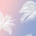 Kim Lorz - Facebook
