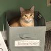 Oatmeal The House Cat - @kimlouden0 - TikTok