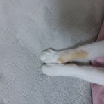 Dink - @kimlovan - Instagram