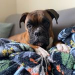Kim Lowman - @gl3bears - Instagram