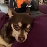 Kim Lowry - @_.kim.lowry._ - Instagram