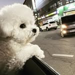 김우주 - @kimwoojoo.luffy.boss - Instagram