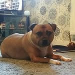 Kim Lumsden - @kim.lumsden.142 - Instagram