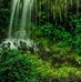 Kim Lun - Facebook