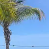 Kim Lupper - @kim.lupper - TikTok
