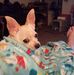 Kim Lusk - Facebook