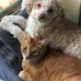 Kim MacNeil - Facebook