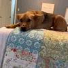 Kimberly MacNeil - @kim.mac.neil - TikTok