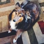 Kim MacPherson - @macpherson8600 - Instagram