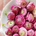 Kim Maggard - @kimmaggard - Instagram