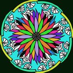 kim Mandel - @mandelica1 - Instagram