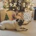 Kim Lassiter Mangrum - Facebook