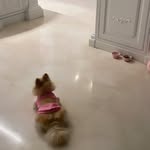 𝐾𝑖𝑚 𝑚𝑎𝑛𝑜𝑟🎀 - @kim_manor_ - Instagram