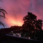 Kim Sim - @kim_markertrip - Instagram