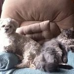 Kim Martindale - @kimnmart - Instagram