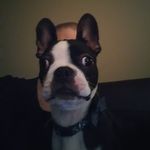 Kimberly Hill Martindale - @kimberly.martindale.77 - Instagram