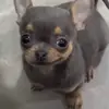 Kim - @martz_kim - TikTok
