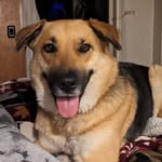 Kim Mauro - @deltasdestinations - Instagram