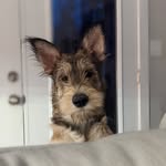 Kim Mauro - @kim.mauro.39 - Instagram