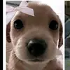 kimNmauro - @kimnmauro - TikTok