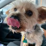 Kim Mayes - @mayes5145 - Instagram