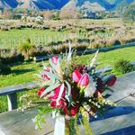Kim Mazur - @kim.wearne.7 - Instagram