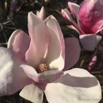 Kim Mazur - @kim.mazur.5 - Instagram