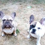 Kim McCarthy Mazur - @kimmccarthymazur - Instagram
