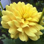 Kim McCloskey - @kimmmer2 - Instagram