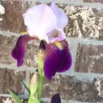 Kim McCrary - @kimmcc55 - Instagram