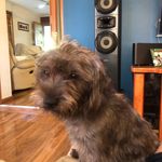 Kim Mcculloch - @kim.mcculloch.9469 - Instagram