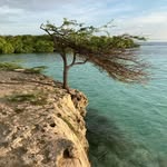 Kim McDevitt - @klmcdevi - Instagram