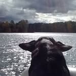 Kim McElwee - @mcelweekim - Instagram