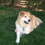 Kim McGill - @bearshouse932 - Instagram