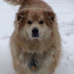 Kim McGill - @kim.mcgill.98 - Instagram