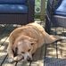 Kim McGill - Facebook