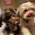 Kim McGraw - Facebook