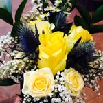 Kim McIntire - @kmcintire - Instagram