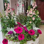 Kim McKeon - Facebook