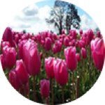 Kim McLain - @kimmac1962 - Instagram