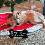 Kim McMinn - @unkinpunkin - Instagram