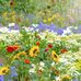 Kim Cooper McNabb - Facebook
