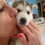 Kim McNamee - @the_band_of_angels - Instagram