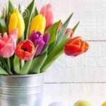 Kim McNulty - @mcnulty_kim - Instagram
