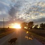 Kim McWilliams - Facebook